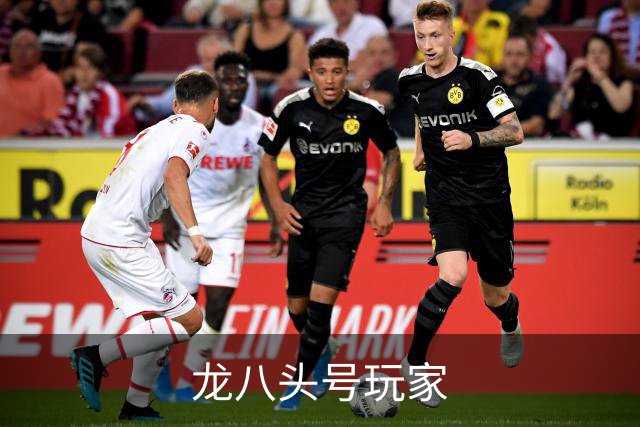 龙八头号玩家公司形象展示图